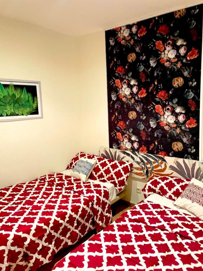 マドリード Sol Montera & Parking Tph Bed & Breakfast エクステリア 写真